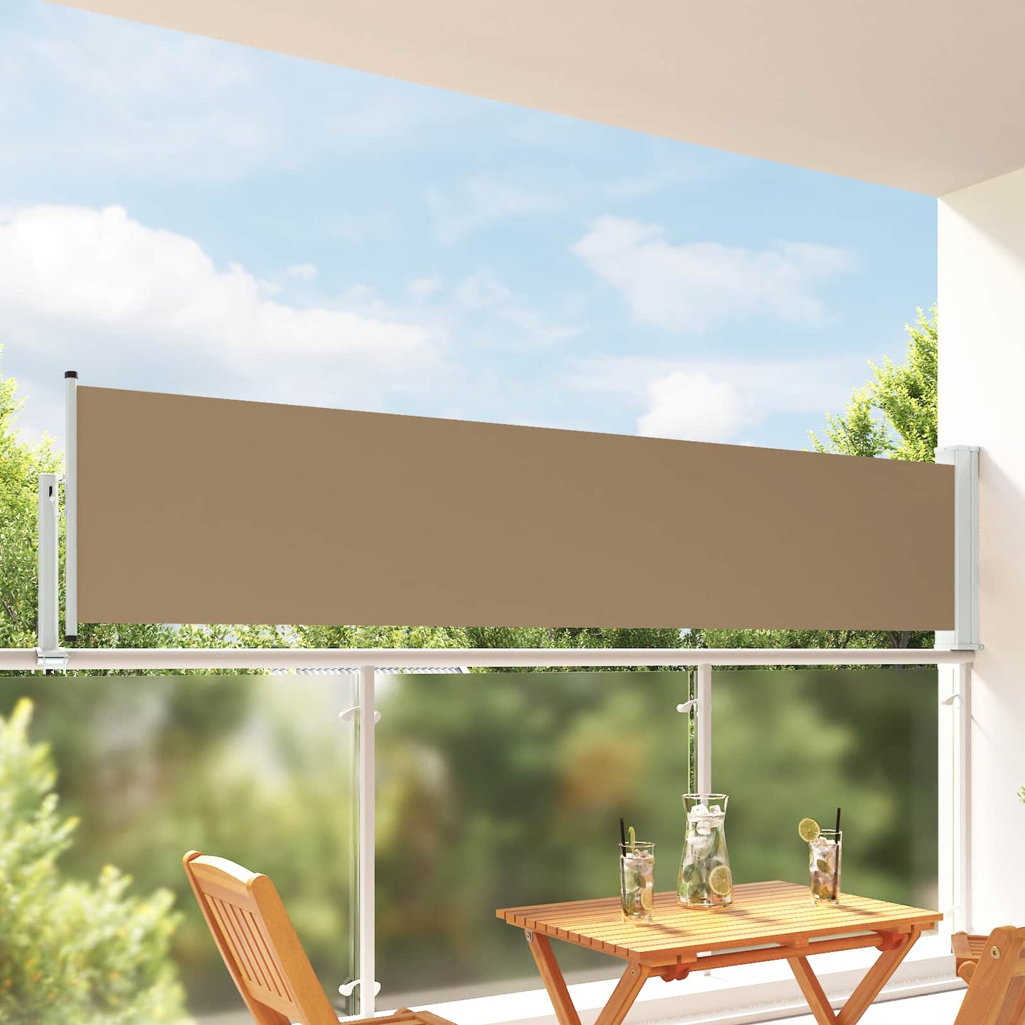 Side Markise 60 x 300 cm 100% polyester jern stål Rektangulær