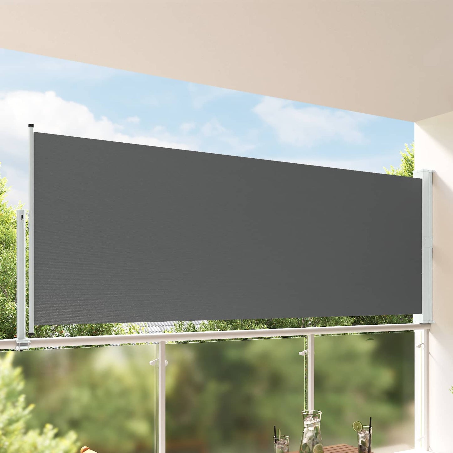 Side Markise 160 x 300 cm Rektangulær Antracit