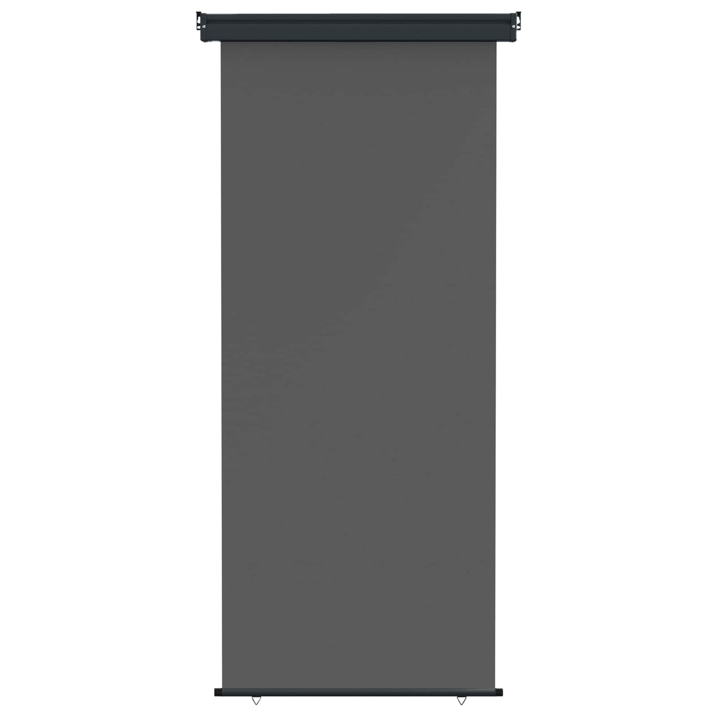 Balkon Sideskærm 100 x 250 cm 100% polyester jern stål Antracit