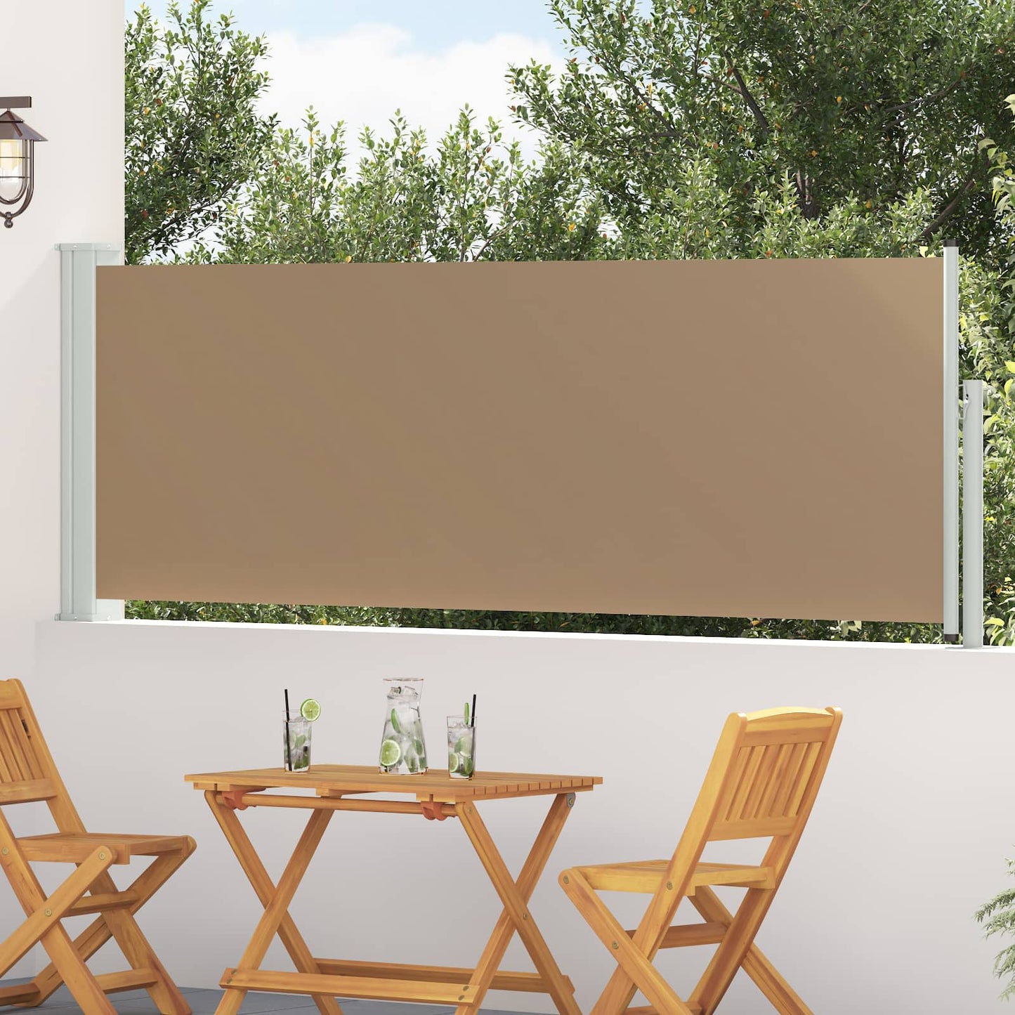 Udtrækkeligt side-markise 300 x 100 cm Polyester Rektangulær