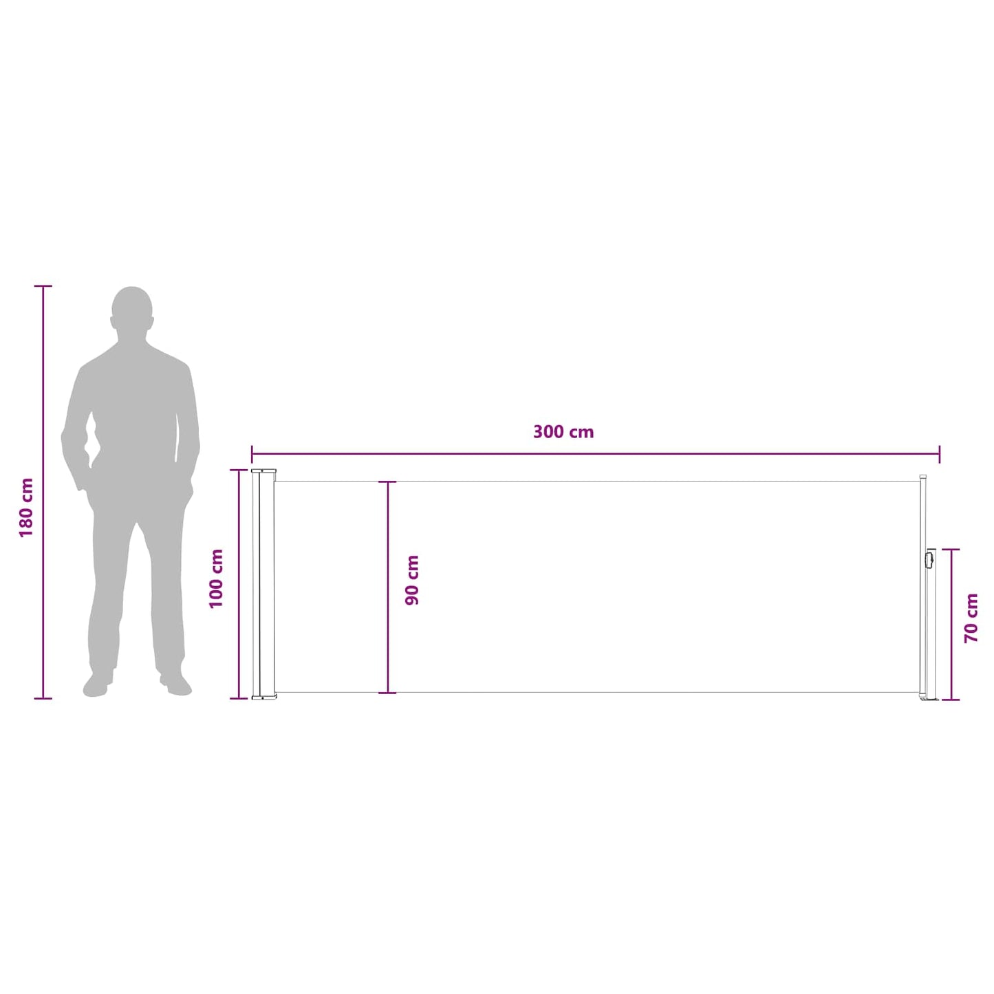Udtrækkeligt side-markise 300 x 100 cm Polyester Rektangulær