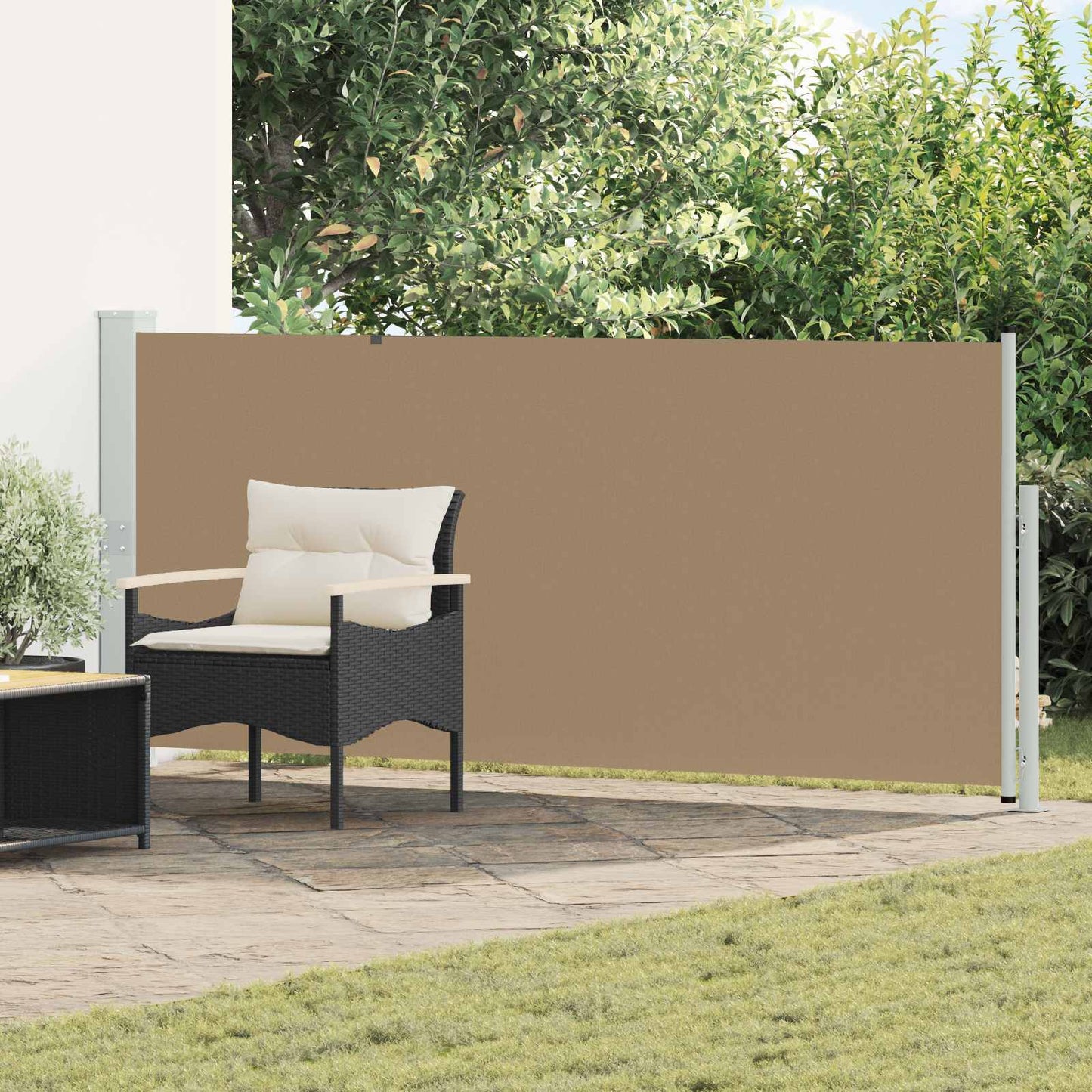 Udtrækkeligt side-markise 160 x 300 cm Polyester Rektangulær