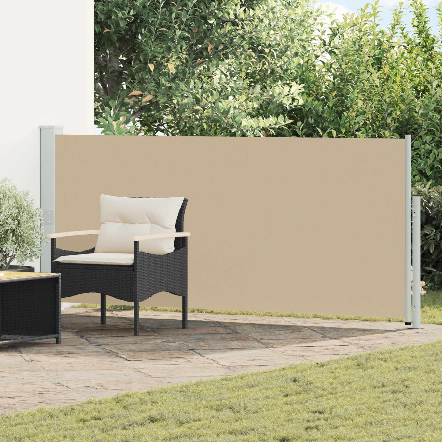 Udtrækkeligt side-markise 170 x 300 cm Polyester Rektangulær