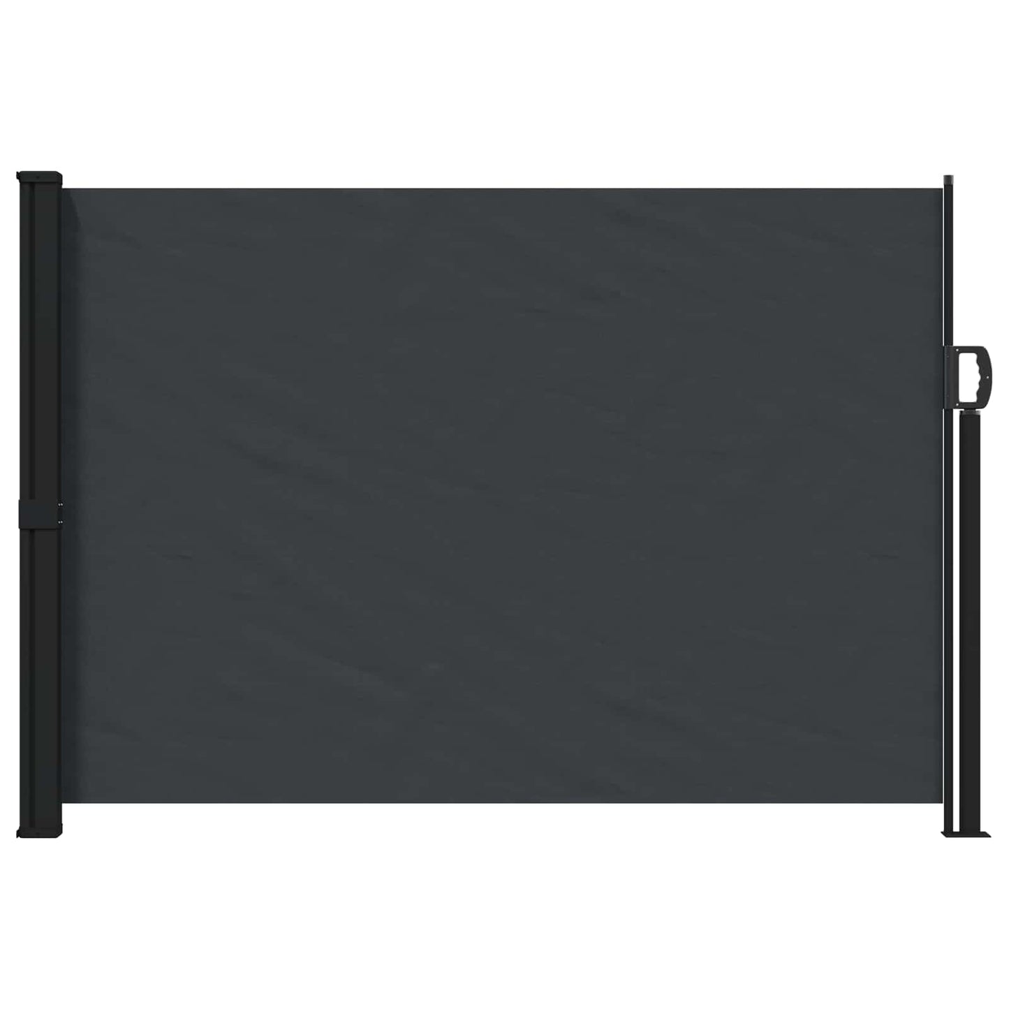 Udtrækkeligt side-markise Sort 300 x 170 cm Polyester