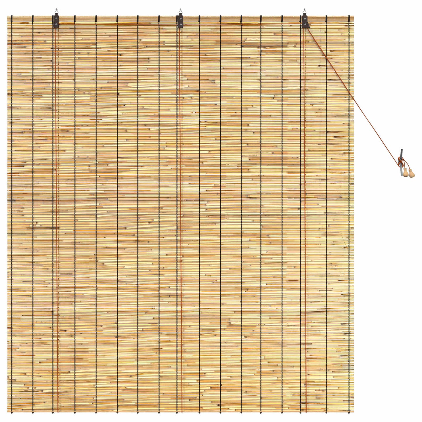 Rullegardin Naturfarvet 140 x 160 cm Rør