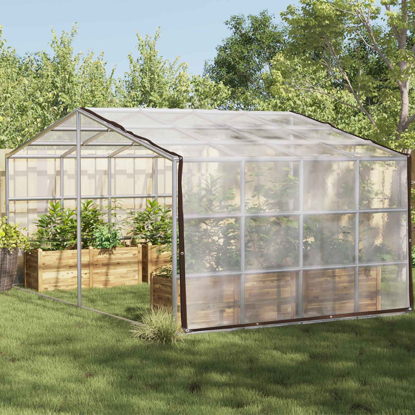 Planteovertræk Transparent 2 x 12 m PE
