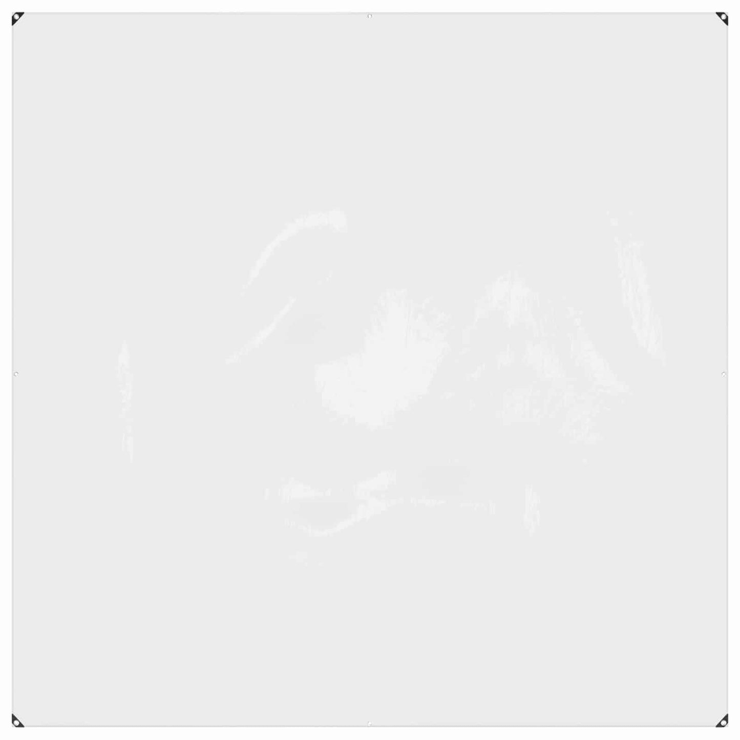Planteovertræk Transparent 2 x 2 m PVC