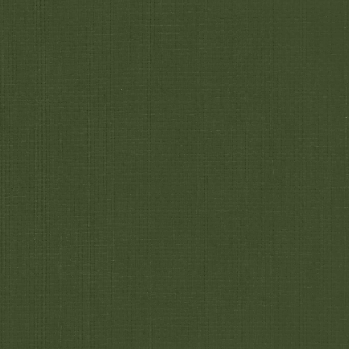 Presenning med øjer Grøn 3 x 6 m 180 gsm PE