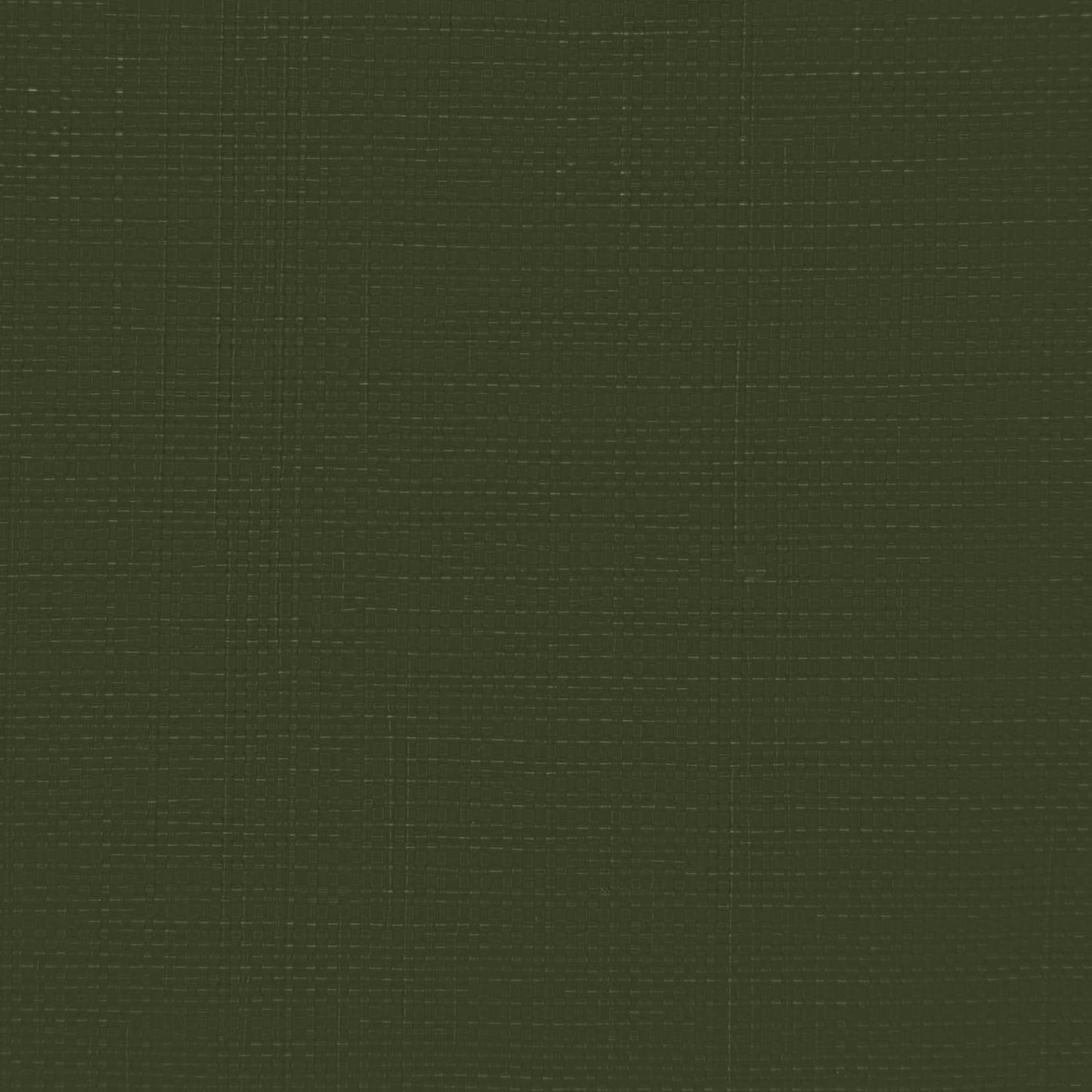 Presenning med øjer Grøn 8 x 10 m 260 gsm PE