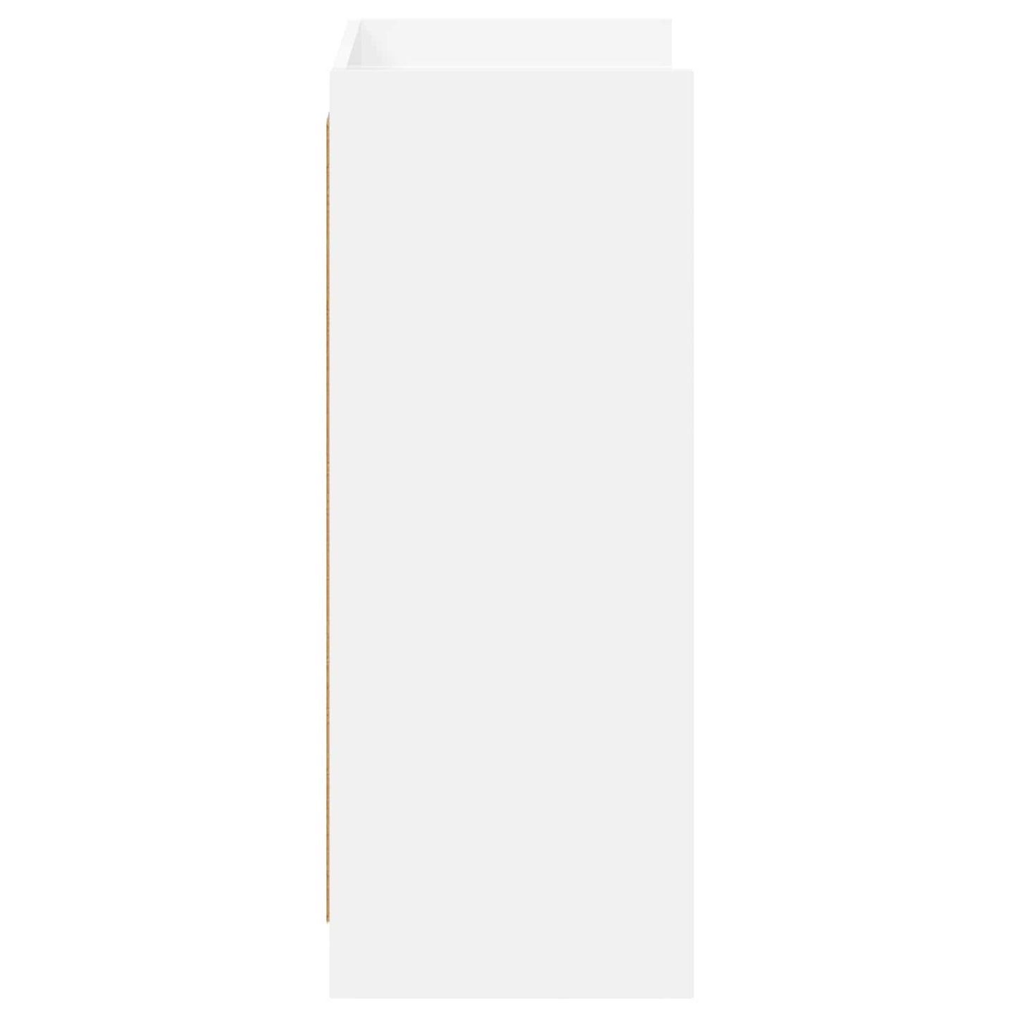 Sko skab med opbevaring Hvid 48 x 36 x 92 cm Konstrueret træ
