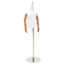 Justerbar 120-157 cm Mannequin med Base Unisex PP Hvid