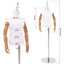 Justerbar 120-157 cm Mannequin med Base Unisex PP Hvid