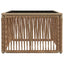 Havemøbel Bord Beige og sort 55 x 55 x 37 cm PE Rattan og Glas