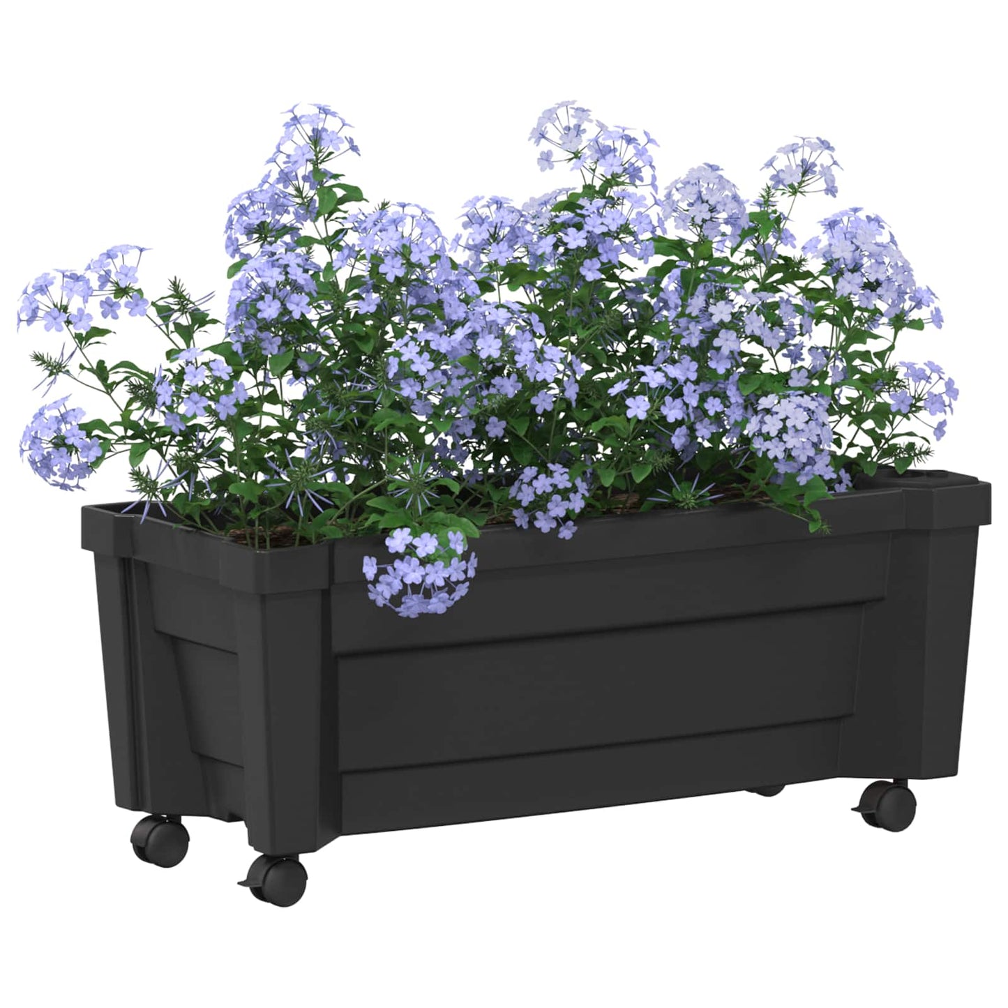 Calypso plante med hjul Antracit 79 x 35 x 33 cm PP