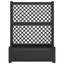 Stor blomsterkasse med espalier Antracit 99,5 x 43 x 133,5 cm
