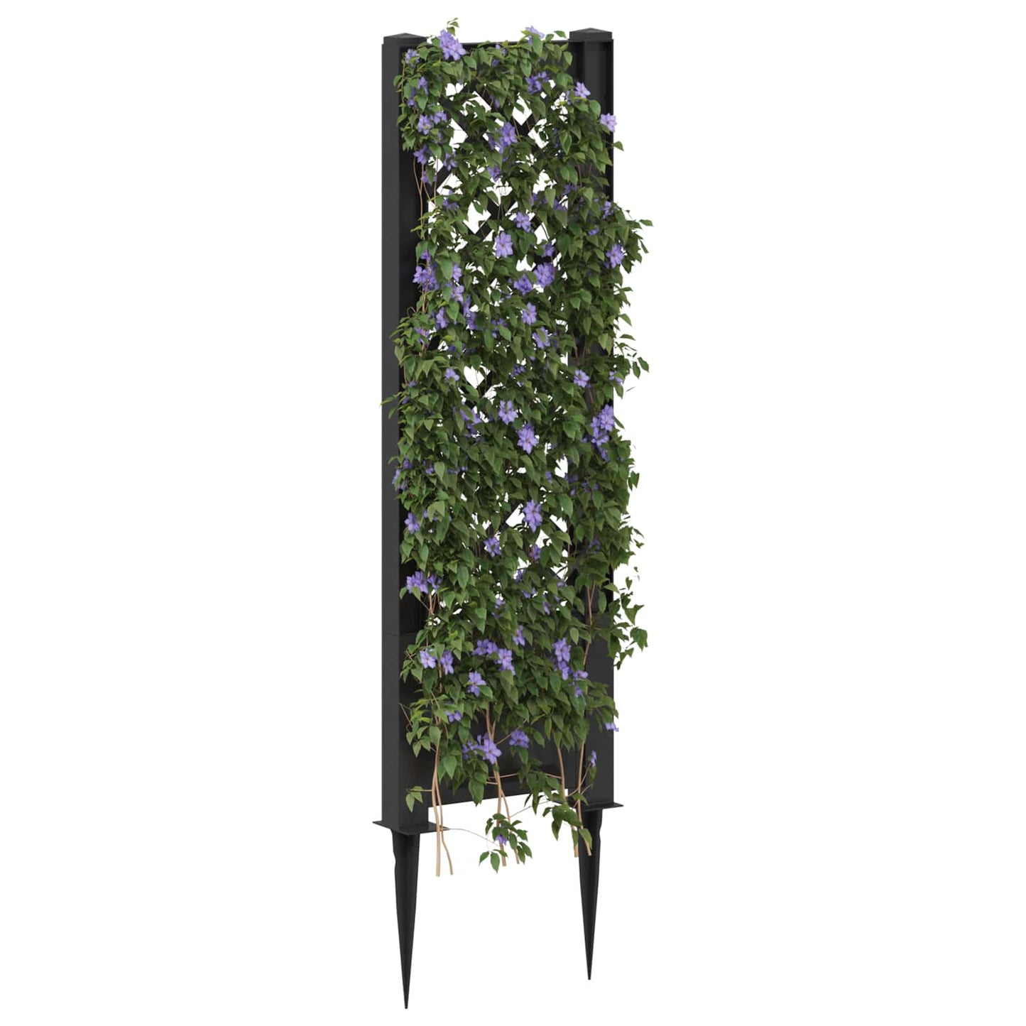 Trellis med Spids Antracit 43 x 6 x 165 cm PP
