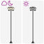 3-hoved lampepost with LED Bulb Sort 16 x 16 x 187 cm