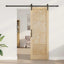 Skydedør Naturfarvet 73,5 x 211 cm Massivt fyrretræ