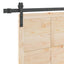 Skydedør Naturfarvet 100 x 208 cm Massivt fyrretræ