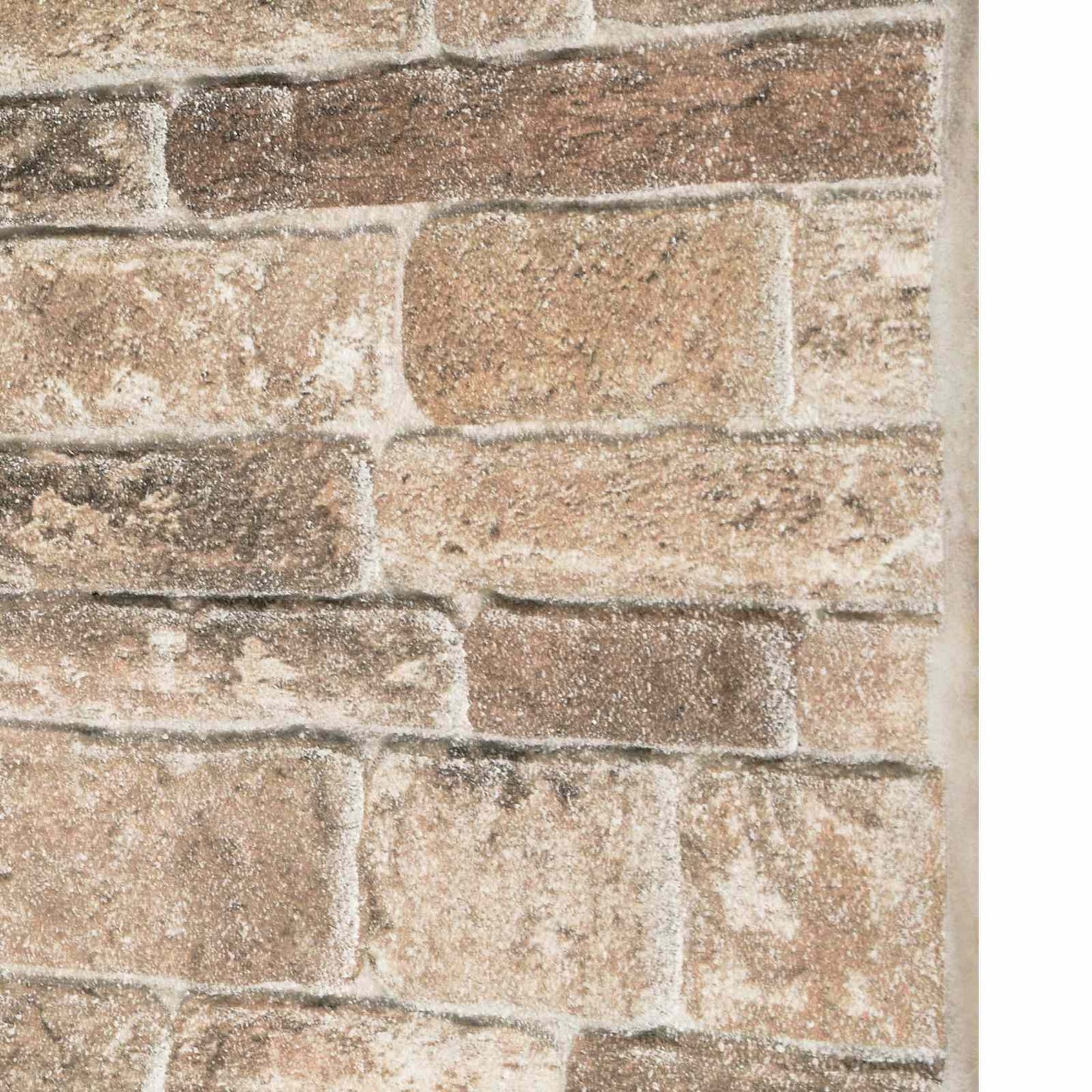 Vægpaneler 10 pcs Flerfarvet 100 x 50 cm EPS Skum