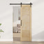 Indvendig Dør Naturfarvet 61 x 198,5 cm Krydsfinér