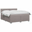 Box Spring Seng med Madras og LED Gråbrun 180 x 200 cm Stof