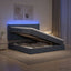 LED opbevarings seng med madras Mørkegrå 200 x 200 cm Fløjl