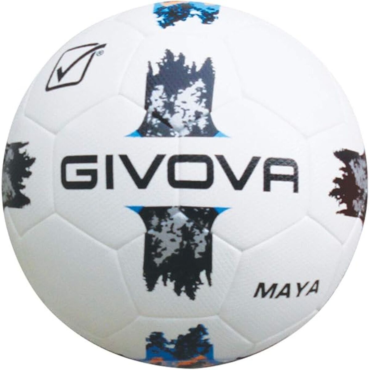 Fodbold GIVOVA Multifarvet billede